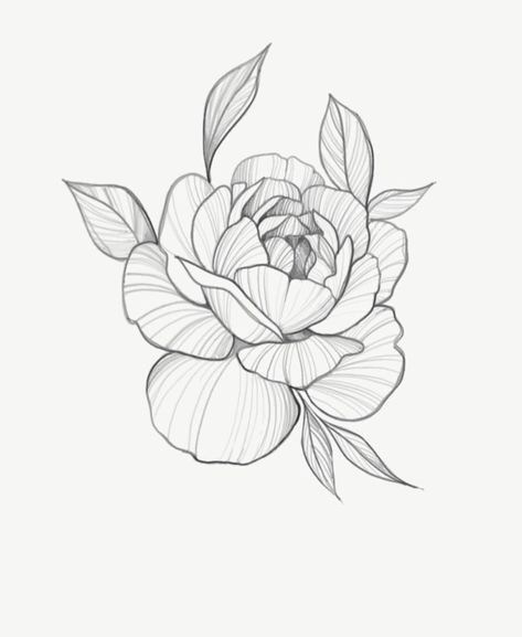 Tiny Peony Tattoo Simple, Peony Tattoo Men, Japanese Peony Tattoo Design, Peony Tattoo Sketch, Peony Back Tattoo, Peonies Tattoo Design, Simple Peony Tattoo, Small Peony Tattoo, Fine Line Peony Tattoo