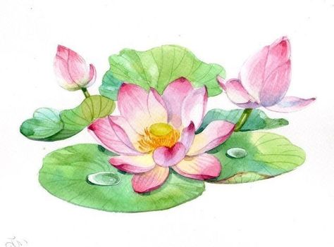 Lotus Flower Painting Watercolors, Flower Art Watercolor, Abstract Lotus, Lotus Artwork, Lotus Flower Drawing, Lotus Drawing, Lotus Flower Painting, Watercolor Lotus, Mandala Lotus