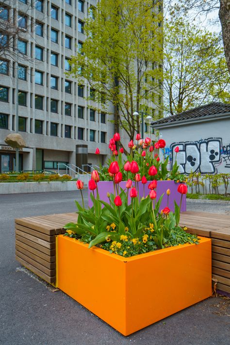 CODE module bench consists of rectangular boxes that can be assembled horizontally and vertically to different furniture formations and landscapes. They also come with the opportunity of combining with planters. Available in 200 RAL colours for powder-coating. Design: Hong Ngo-Aandal & Johan Verde Bench Outside, Colorful Planters, Different Types Of Wood, Urban Furniture, Sustainable Furniture, Ral Colours, Urban Planning, Planter Boxes, Outdoor Projects