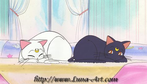 Luna Wallpaper Sailor Moon, Sailor Moon Drawings, Artemis And Luna, Sailor Moon Episodes, Moon Notebook, Sailor Moon Background, Moon Drawings, Luna And Artemis, Sailor Moon Luna