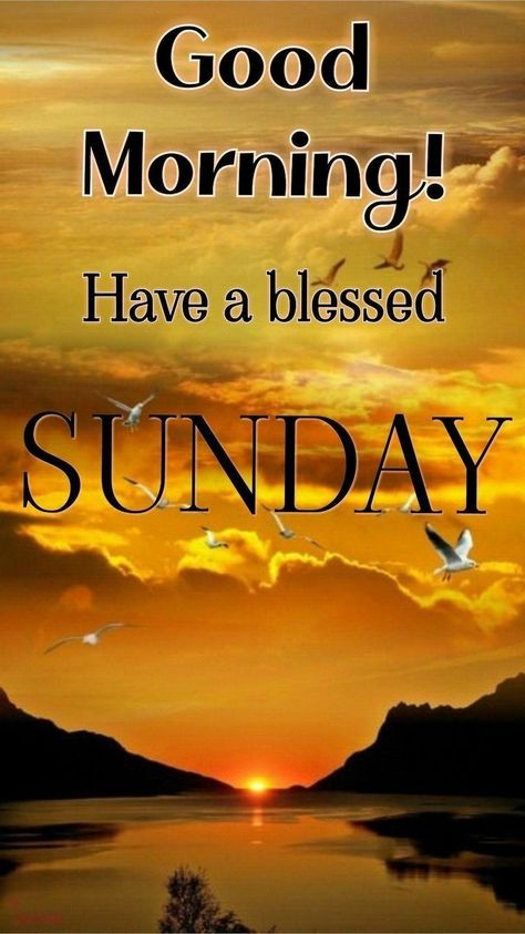 Good Morning Have A Blessed Sunday, Have A Blessed Sunday Quotes, Good Morning Blessed Sunday, Sunday Morning Blessings, Blessed Sunday Quotes, Blessed Sunday Morning, Quotes Sunday, A Blessed Sunday, Happy Sunday Morning