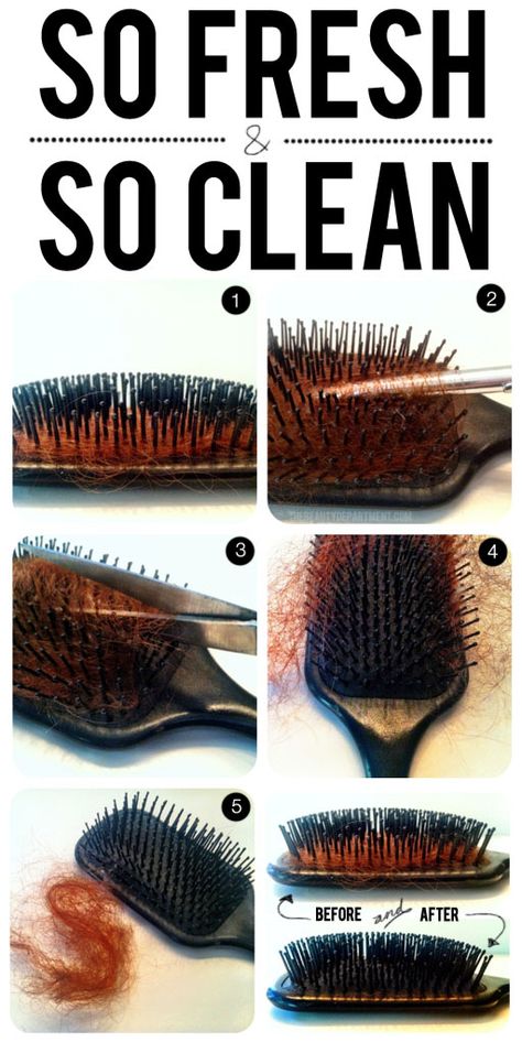 HOW TO PROPERLY CLEAN YOUR HAIR BRUSH Clean Hairbrush, Brush Guide, Diy Shampoo, Paddle Brush, Hair Brushes, The Beauty Department, Clean Hair, Hair Sticks, Cosmetology