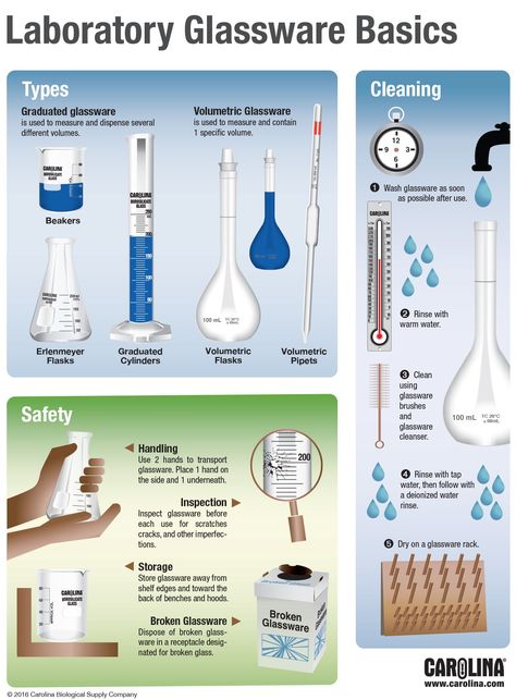 Infographic: Laboratory Glassware Basics Lab Safety Rules, Biology Experiments, Laboratory Techniques, Chemistry Activities, Laboratory Glassware, Simple Infographic, Microbiology Lab, Lab Science, Chemistry Basics