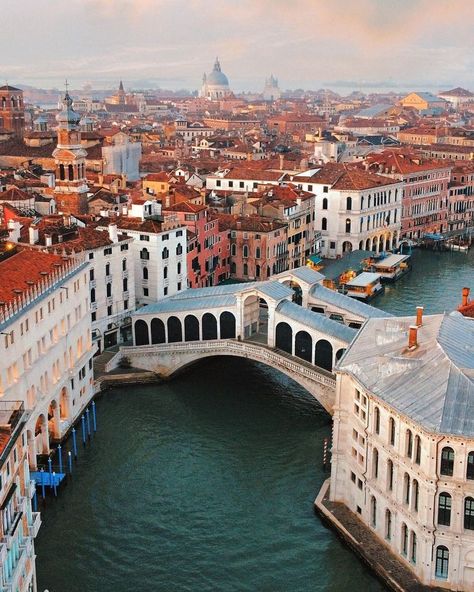 Bridges Architecture, Venice Florida, Rialto Bridge, Explore Italy, Verona Italy, Italy Tours, Regions Of Italy, Italy Photo, Rome Travel