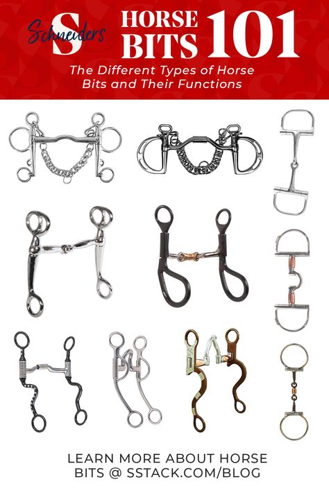 Types Of Horse Bits Western, Types Of Horse Bits, Types Of Bits For Horses, Western Bits For Horses, Horse Bits Types Of, Horse Judging, Bits For Horses, Horse Art Reference, Horse Education