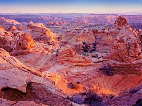 SOUTH COYOTE BUTTES Coyote Buttes, Utah Trip, Hiking Poles, Colorful Places, Utah Travel, Dry Heat, Moab Utah, Canyon Road, Mountain Travel