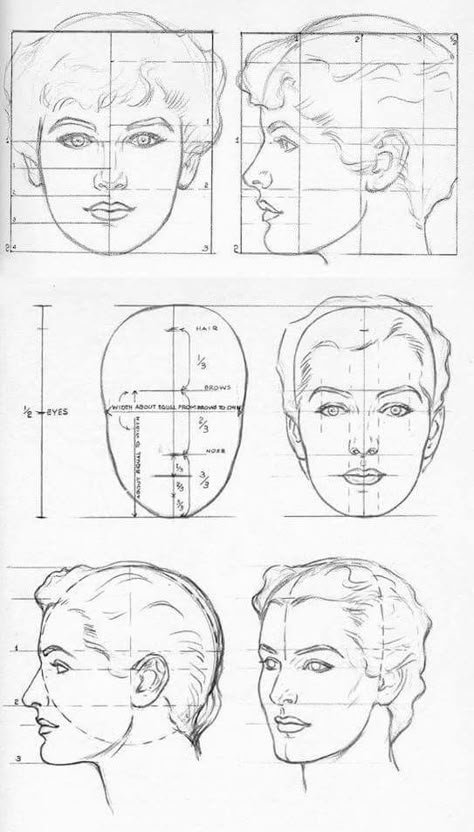 Face Dimensions Drawing, Face Diagram, Proportions Of The Face, Face Proportions Drawing, Random Sketch Ideas, Planes Of The Face, Portrait Drawing Tips, Drawing Proportions, Easy Sketches