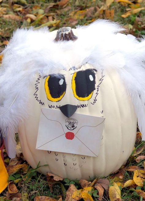 Turn your favorite book characters into Pumpkins! Hedwig Pumpkin, Harry Potter Pumpkin Carving, Owl Pumpkin Carving, Harry Potter Birthday Invitations, Book Character Pumpkins, Harry Potter Pumpkin, Story Book Pumpkin, Pumpkin Character, Hedwig Owl