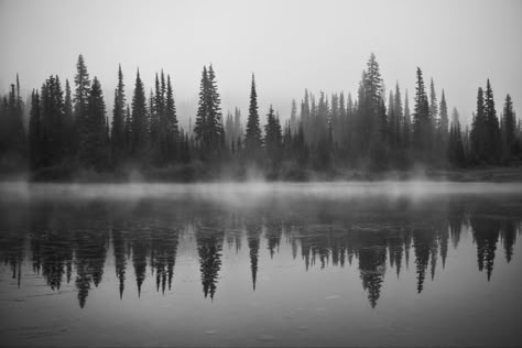 Tree Line Tattoo, Reflection Tattoo, Foggy Lake, Lake Tattoo, See Tattoo, Cool Nature, Draw Step By Step, Forest Tattoos, Desenho Tattoo