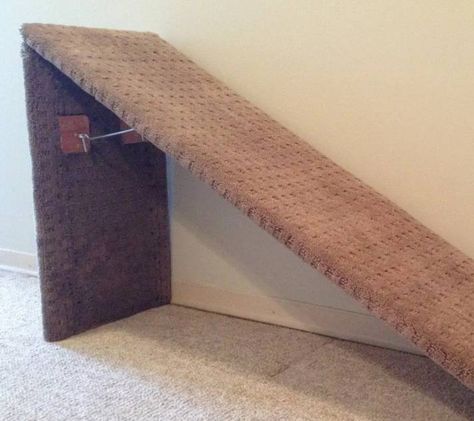 Diy Cat Stairs, Diy Pet Stairs, Ramps And Stairs, Cat Ramp, Cat Pee Smell, Ramp Stairs, Ramp Design, Cat Stairs, Cat Needs