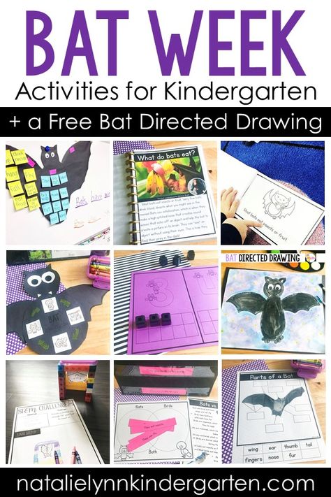 Bat School Activities, Bat Week First Grade, Bat Science Kindergarten, Bat Unit First Grade, Bat Activities For First Grade, Bat Math Kindergarten, Bats And Spiders Kindergarten, Kindergarten Bat Craft, Bat Theme Kindergarten