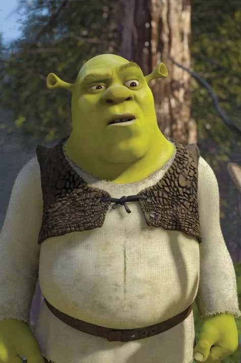 The fifth film in the Shrek series is set to be released in July 2026, with the original cast returning for the latest instalment of the much-loved animated franchise Shrek 2001, Shrek Donkey, Midnight Mayhem, Iconic Duos, Smash Board, Animated Emoticons, Literally Us, In Another Universe, Originals Cast