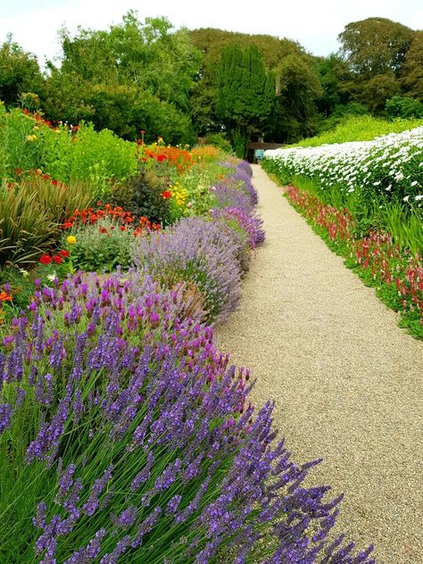 Irish Garden Ideas, Irish Garden, Cottage Garden Design, Garden Path, Fruit Garden, Backyard Ideas, Garden Paths, Cottage Garden, Garden Ideas