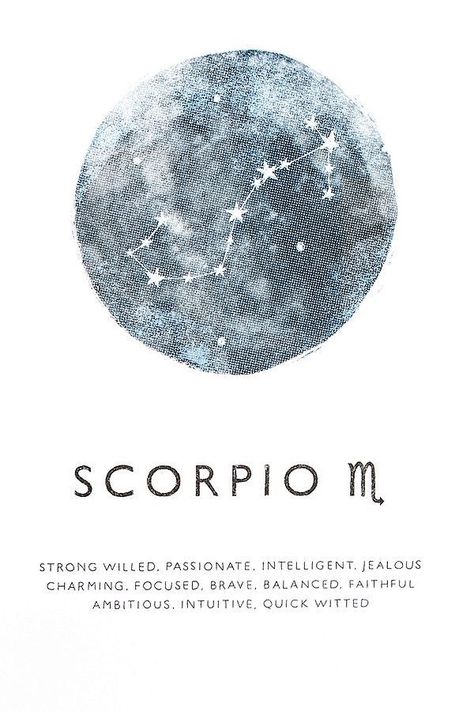 Scorpion Art, Scorpio Constellation Tattoos, Scorpio Zodiac Tattoos, Aquarius Constellation Tattoo, Star Sign Art, Zodiac Quotes Scorpio, Zodiac Sign Scorpio, Scorpio Art, Astrology Scorpio