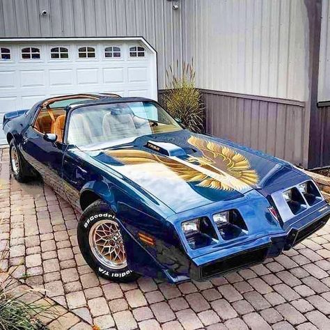 1979 Pontiac Trans Am, Pontiac Trans Am, Old Muscle Cars, Hyundai I20, Pontiac Firebird Trans Am, Pontiac Cars, Dream Cars Jeep, Vintage Muscle Cars, Chevy Muscle Cars