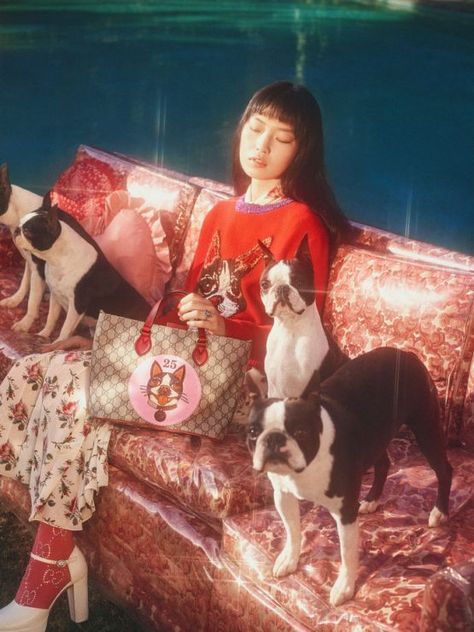 Gucci Disco, Petra Collins, Year Of The Dog, Dog Years, Miss Dior, Oui Oui, 인물 사진, Harpers Bazaar, Dog Photography