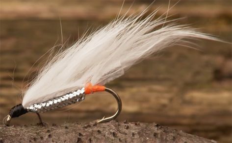 Video: Top 5 Flies for Great Lakes Steelhead - Orvis News Steelhead Flies Great Lakes, Steelhead Fly Tying Patterns, High Performance Boat, Tying Flies, Steelhead Flies, Fly Fishing Flies Pattern, Fly Fishing Tips, Fishing Stuff, Fly Patterns