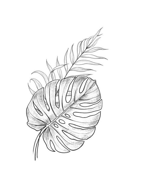 Plant Line Work Tattoo, Monstera Flower Tattoo, Monstera Leaf Tattoo Design, Monsters Leaf Tattoo, Tropical Leaf Tattoo, Tropical Plant Tattoo, Philodendron Tattoo, Monstera Tattoo Design, Tropical Leaves Tattoo