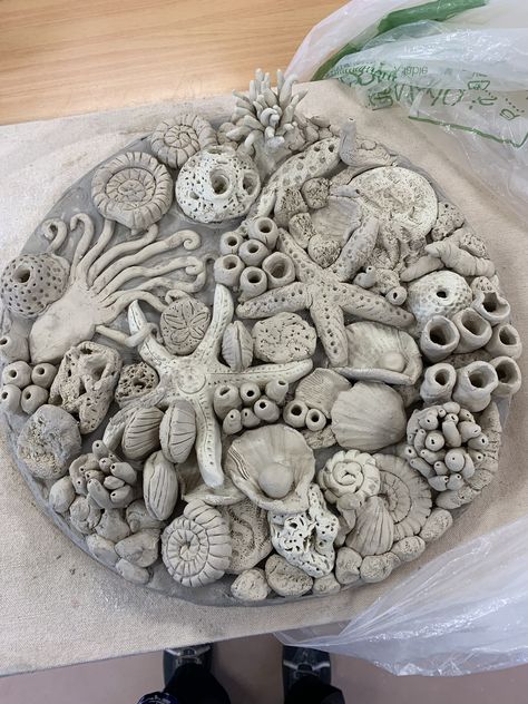 Ceramic Shells Ideas, Gcse Art 3d Final Piece, Ocean Sculpture Ideas, Ks3 Art Projects, Advanced Ceramics Projects, Higher Art, Shell Sculpture, Coral Sculpture, Pottery Pots