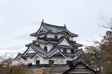 Hikone Castle, an authentic building of Feudal Japan in Hikone City, Shiga prefecture, on the eastern shore of the largest lake in Japan, Lake Biwa. Hikone Castle, Shiga, Eastern Shore, Fantasy House, Yesterday And Today, Japanese Garden, Stunning View, Japanese Traditional, Kyoto