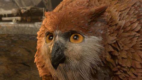 Owl Bear, Owlbear Bg3, Owlbear Dnd Art, Baldurs Gate 3 Tattoo, Owlbear Cub, Owl Bear Dnd, Awakened Owlbear, Baldur’s Gate 3 Character Creation, Baby Bear Cub