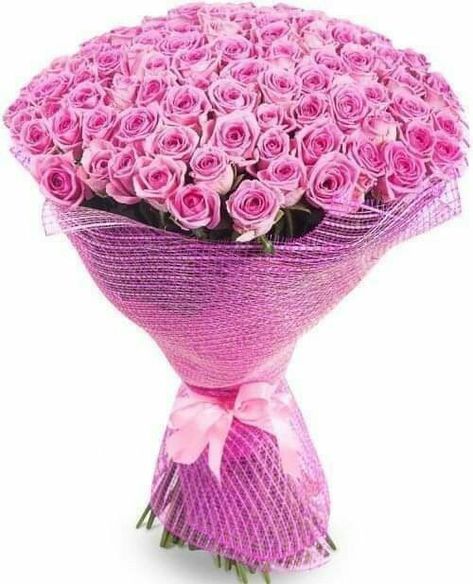 Learn about cheap rose bouquets that you can get online for occasions such birthday gifts. Simple and beautiful floral design arrangements. #roses #flowerarrangements #gift Perfume Cheap, Rose Perfume, Bouquet Flower, Flower Gifts, Rose Bouquet, Pink Roses, Roses, Flowers, Pink