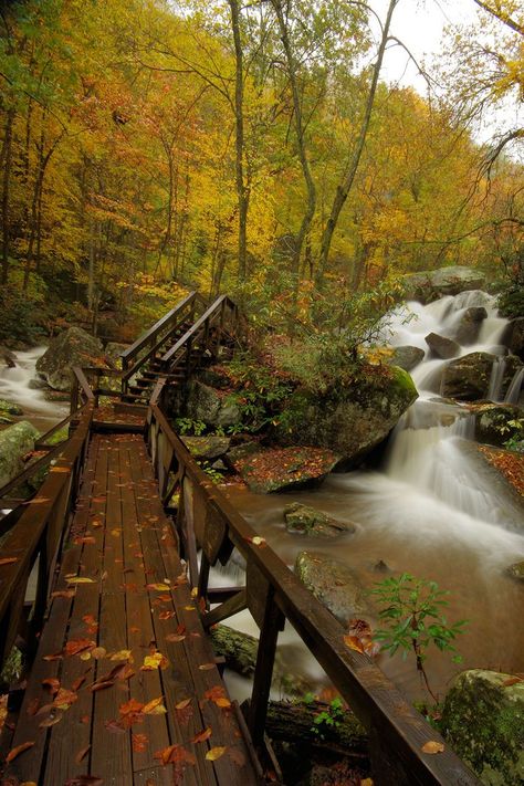 Fall Hike at South Mountains State Park in North Carolina near Asheville http://www.romanticasheville.com/south_mountains.htm Fall Hike, Tenda Camping, California Camping, North Carolina Travel, Nc Mountains, North Carolina Mountains, Fall Hiking, Lombok, Pretty Places