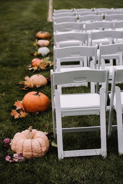 Featured Vendors: Luckybird Photography Pumpkin Patch Wedding Ideas, Outdoor Fall Wedding Ideas October Decor White Pumpkins, Wedding Aisle Pumpkins, Pumpkin Patch Wedding, White Pumpkin Wedding Aisle, Pumpkin Patch Attractions, Outdoor Fall Wedding, Fall Outdoor, Farm Wedding