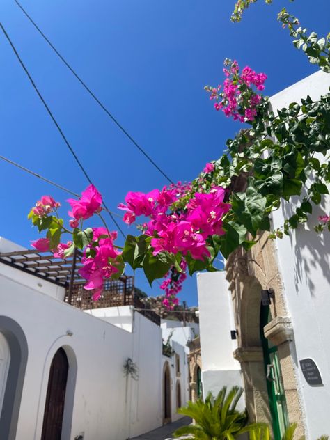 A greek alleyway with pink mediterranean flowers! Mamma Mia Flowers, Sky Mamma Mia Aesthetic, Mamma Mia Location, Watching Mamma Mia Aesthetic, Greece Aesthetics Mamma Mia, Mamma Mia Island Greece, Mama Mia, Greece Islands, Bridal Shower Theme