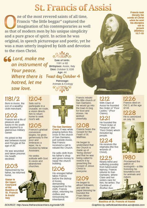 Saint Of The Day Catholic, Prayer Of St Francis Of Assisi, Saint Francis, St Francis Of Assisi, St Francis Statue, St. Francis, St Francis Assisi, Catholic Beliefs, Faith Formation