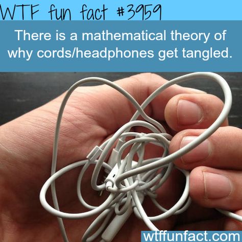 Why headphones and cords get tangled - WTF fun facts Headphone Wrap, Iphone Headphones, Strong Knots, What The Fact, Wow Facts, Interesting Information, Epic Fails, The More You Know, Things To Know