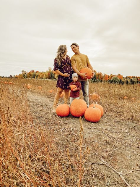 Pumpkin Maternity Photos, Pregnancy Announcement Pumpkin, Funny Maternity Photos, 2nd Pregnancy Announcements, Pumpkin Pregnancy Announcement, Fall Maternity Shoot, Maternity Photography Fall, Maternity Shoot Ideas, Fall Maternity Pictures