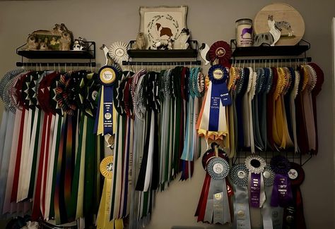 Horse Ribbons Display Ideas, Horse Ribbon Display, Dog Ribbon, Horse Ribbons, Ribbon Display, Award Ribbons, Ribbon Wall, Dream Aesthetic, Equestrian Life