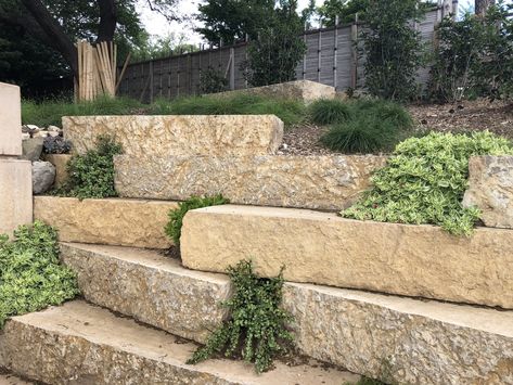 Staggered limestone block retaining wall with succulents planted between spaces. Limestone Block Retaining Wall, Block Landscaping Ideas, Limestone Retaining Wall, Retaining Wall Bricks, Block Retaining Wall, Limestone Block, Wall Plants, Garden Retaining Wall, Brick Laying