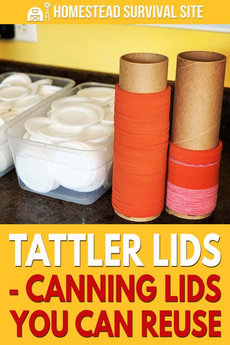 Canning Jar Storage, Diy Canning, Canning Jar Labels, Canning Peaches, Canning Jar Lids, Canning Tips, Canning Vegetables, Water Bath Canning, Canning Lids