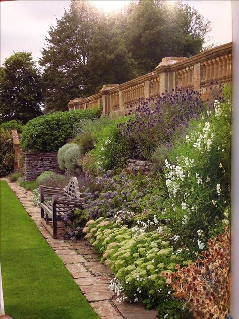 Gertrude Jekyll's grey walk at Hestercombe Gardens Gertrude Jekyll Garden, Gertrude Jekyll Garden Design, Artemisia Ludoviciana, Hestercombe Gardens, Structural Planting, Cozy Patio Ideas, Yard Cart, Gertrude Jekyll, Grey Theme