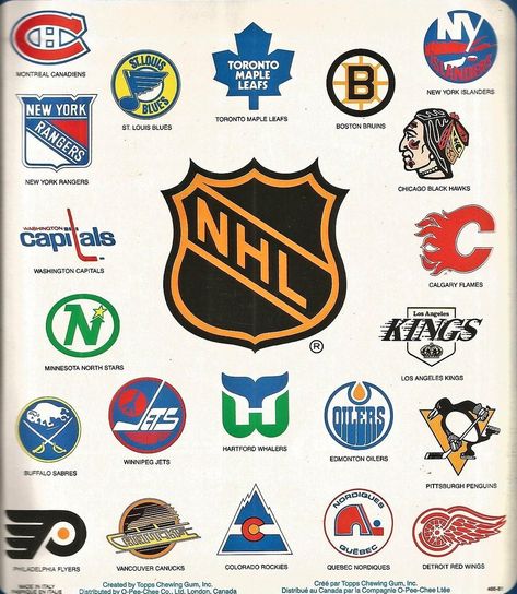 Hockey Jokes, Logo Infographic, Priscilla Barnes, Ny Islanders, Nhl Hockey Teams, Nhl Wallpaper, Taylor Hall, Hockey Room, Minnesota North Stars