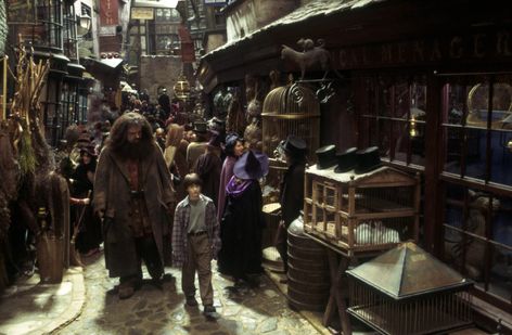 Ranked: The 7 most memorable Diagon Alley moments | Wizarding World Harry Potter Store, Harry Potter Diagon Alley, Harry Potter 5, Robbie Coltrane, Rubeus Hagrid, Images Harry Potter, The Sorcerer's Stone, Diagon Alley, Harry James Potter