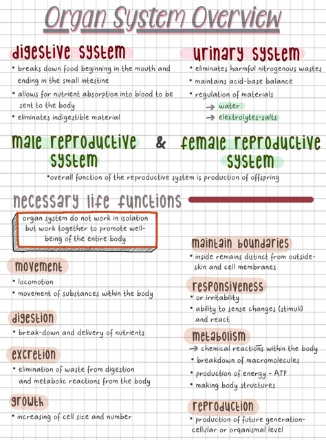 Nursing Notes Anatomy And Physiology, Anatomical Terminology Notes, Reproductive System Nursing Notes, Organ Systems Notes, Anatomy And Physiology Notes Chapter 1, Intro To Anatomy And Physiology Notes, Paramedic Revision, Anatomy And Physiology Notes Study Nursing Schools, Human Anatomy And Physiology Notes