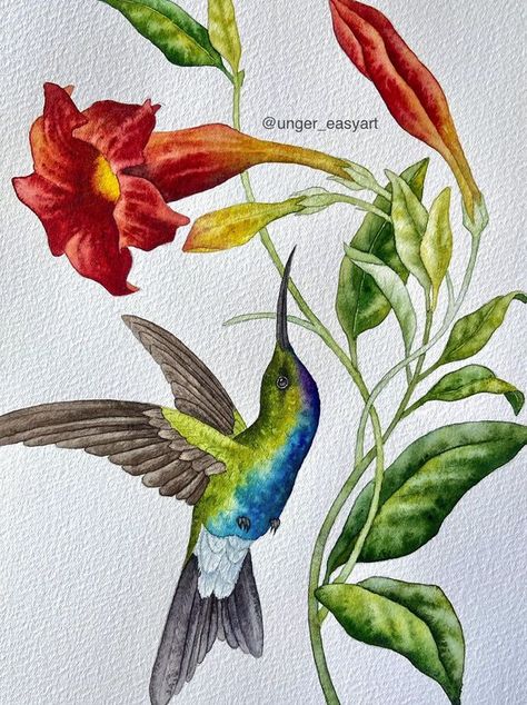 Illustrious Botanical Illustrations | 🌿hummingbird with flowers in vintage style, watercolor  | Facebook Hummingbird With Flowers, Plant Artwork, Bird Watercolor Paintings, Bird Watercolor, Botanical Illustrations, Beginner Painting, Watercolor Bird, Botanical Illustration, Flower Painting