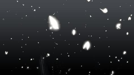 Butterflies Banner Gif, Dc Banner Aesthetic, Butterfly Gif Aesthetic, Anime Butterfly Gif, Background Gif Aesthetic, Butterfly Banner Gif, Black Gif Banner For Discord, Discord Background Gif, Black And White Discord Banner Gif