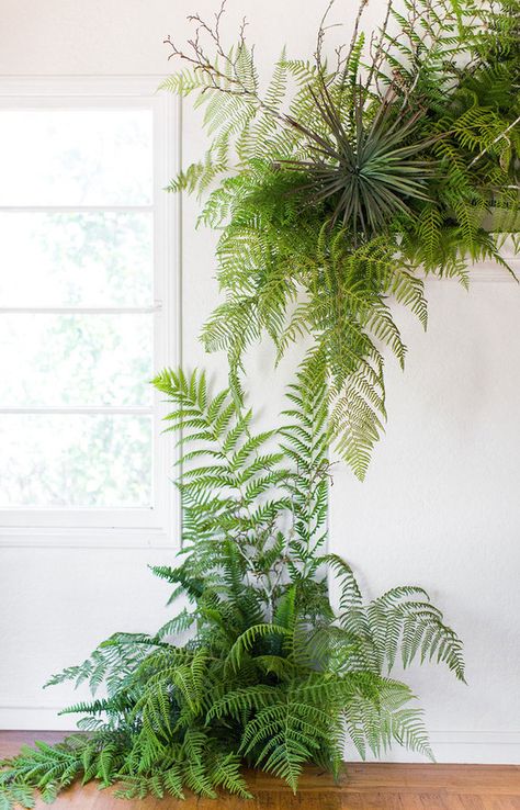 Wedding Plants Decor, Fern Wedding Decor, Fern Wedding, Wedding Plants, Plant Installation, Wedding Post, Foliage Wedding, 100 Layer Cake, Woodland Wedding