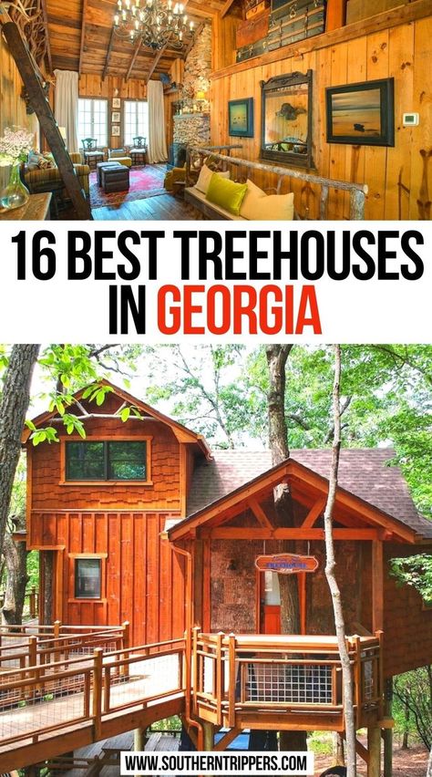 16 Best Treehouses in Georgia Cool Airbnbs, Lux Travel, Treehouse Airbnb, Southern Usa, Travel Georgia, Visit Georgia, American States, Dating Ideas, Southern States