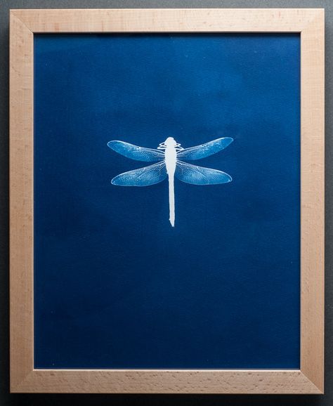 Cyanotype Insect, Indigo Cyanotype, Cyanotype Clothing, Solar Print, Nature Diary, Sun Paper, Cyanotype Art, Cyanotype Process, Cyanotype Print