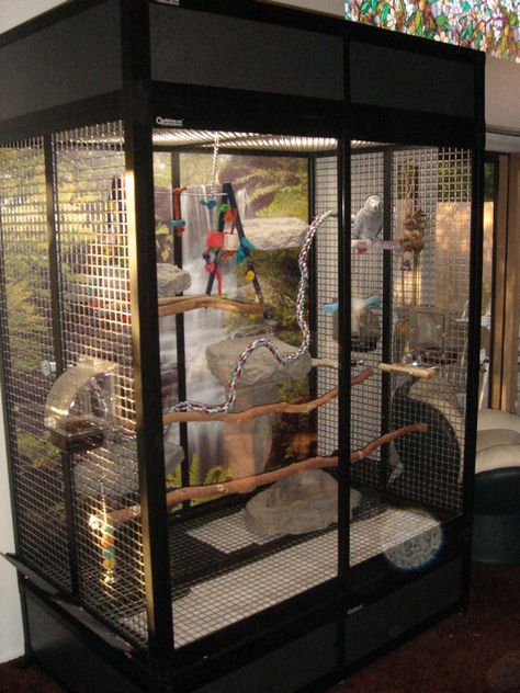 Custom Bird Cage, Parrot Room, Big Bird Cage, Monkey Cage, Parrot Cages, Bird Room, Budgie Cage, Diy Bird Cage, Bird Cage Design