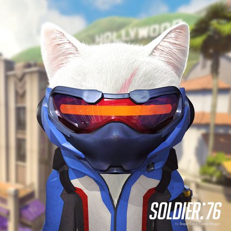 Soldier:76 cat by sugarcat-candydoggie on DeviantArt Overwatch Cats, Cat Breeds List, Jack Morrison, Overwatch Fanart, Rainbow Six Siege Art, Cat Candy, Soldier 76, Cat Info, Overwatch Fan Art