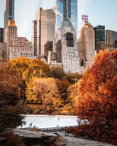 Good morning! Wishing you a happy Thursday, November 21st, 2019 from all of us at Viewing NYC! Here's what the weather looks like in the City right now. New York Noel, Voyage New York, Nyc Fall, Autumn In New York, New York Aesthetic, Fall Inspiration, New York Life, Autumn Scenery, The Windy City