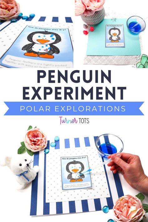 How do penguins stay dry? Let’s find out with this Arctic science experiment for kids! Your preschoolers will thoroughly enjoy discovering how penguin feathers repel water droplets to stay dry in their polar environment. Kick off the fun and exploration throughout the Arctic habitat with this penguin science activity for preschool during your polar theme! Penguin Science Preschool, Prek Arctic Animals, Arctic Science Experiments For Kids, Winter Animals Science Preschool, Arctic Animal Theme Preschool, Animal Science Experiments Preschool, How Do Penguins Stay Dry Experiment, Penguin Preschool Theme, Artic Animal Activities For Preschoolers