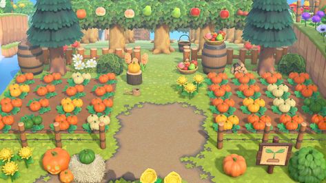 Pumpkin patch design! #animalcrossing #pumpkinpatch #orchard #animalcrossingnewhorizons #acnh Acnh Orchard Design, Orchard Acnh Ideas, Acnh Island Designs Orchard, Orchard Ideas Animal Crossing, Animal Crossing Orchard Layout, Pumpkin Patch Acnh Ideas, Animal Crossing Orchard Ideas, Acnh Orange Orchard, Acnh Tree Orchard Ideas