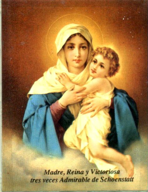 Mother Of Christ, Prayer Partner, Queen Of Heaven, Catholic Books, Many Faces, Blessed Mother, Religious Gifts, Our Lady, Books